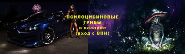 марки lsd Белокуриха