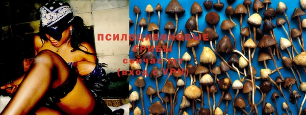 марки lsd Белокуриха