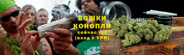 марки lsd Белокуриха