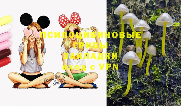 тгк Белоозёрский