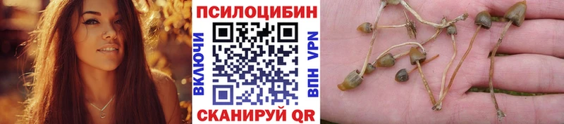 Псилоцибиновые грибы Magic Shrooms Еманжелинск